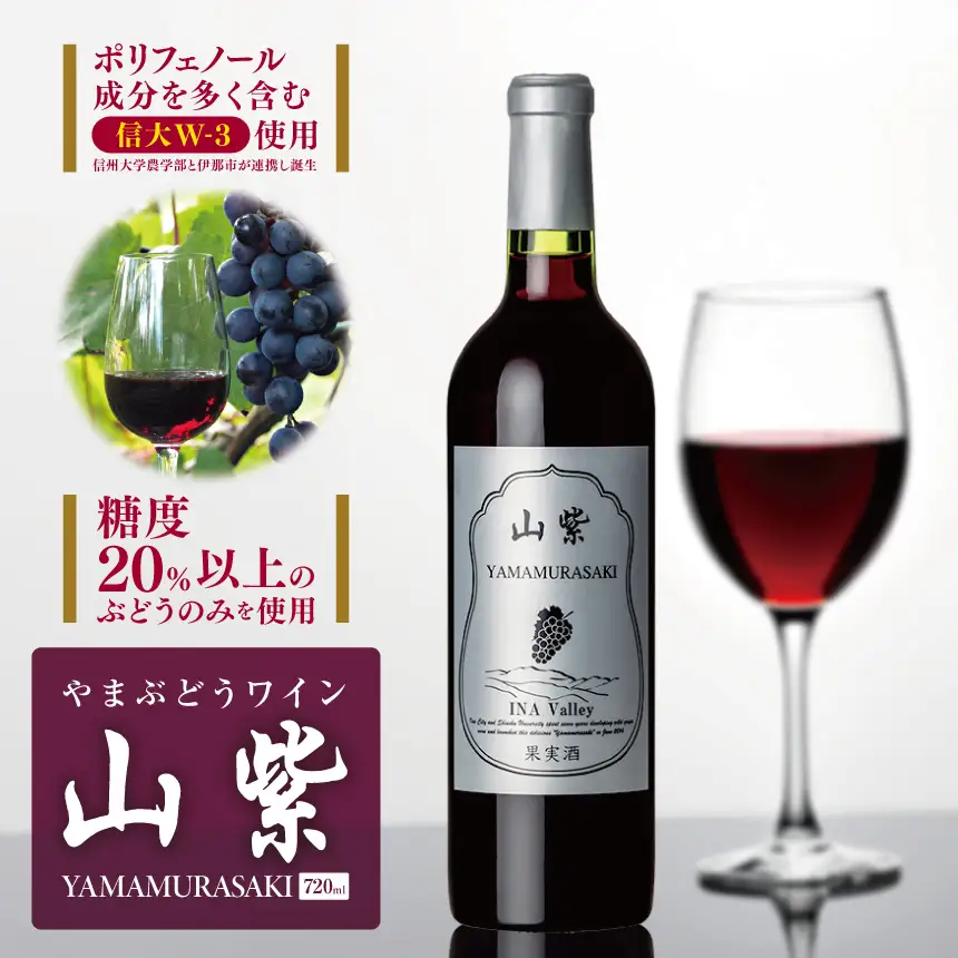 ワイン 日本ワイン やまぶどうワイン 山紫 720ml 1本 長野県 伊那市【012-70】