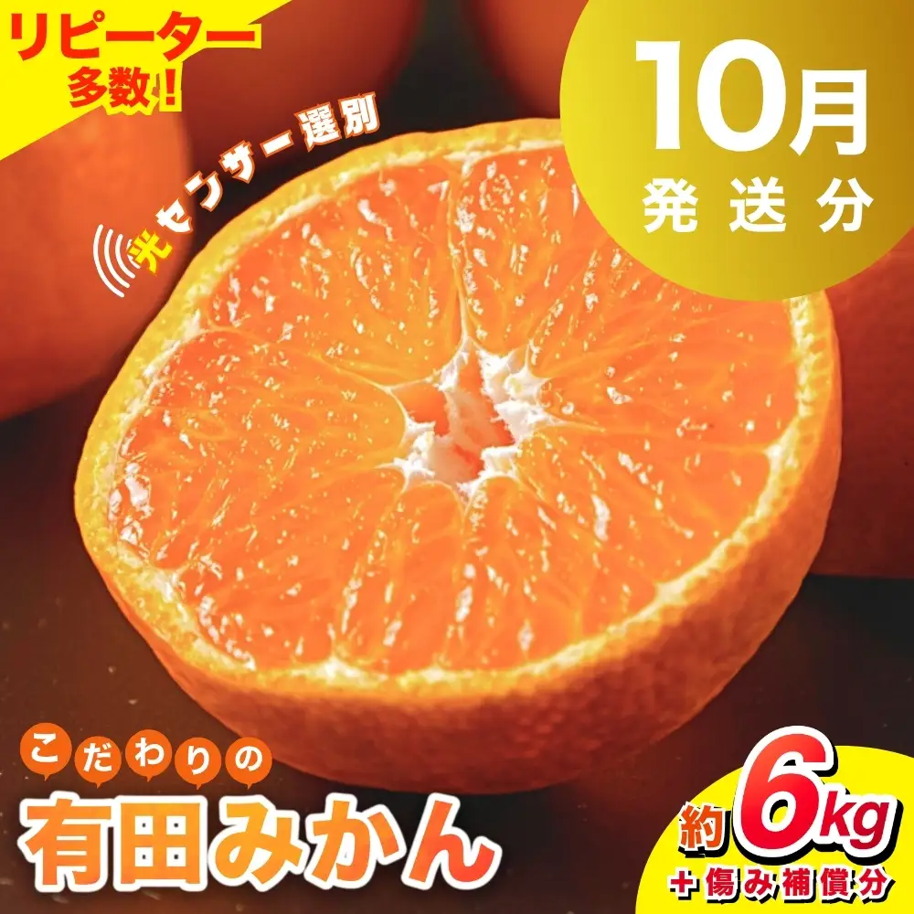 【2026年10月発送予約分】【家庭用】こだわりの有田みかん 約6kg＋250g(傷み補償分) ※北海道・沖縄・離島配送不可【nuk102-10】 