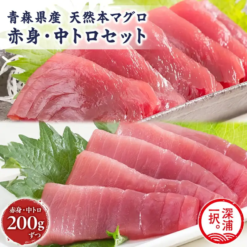 天然 本マグロ 赤身 中トロ 2種セット 国産 本鮪 [fu-0012-006]