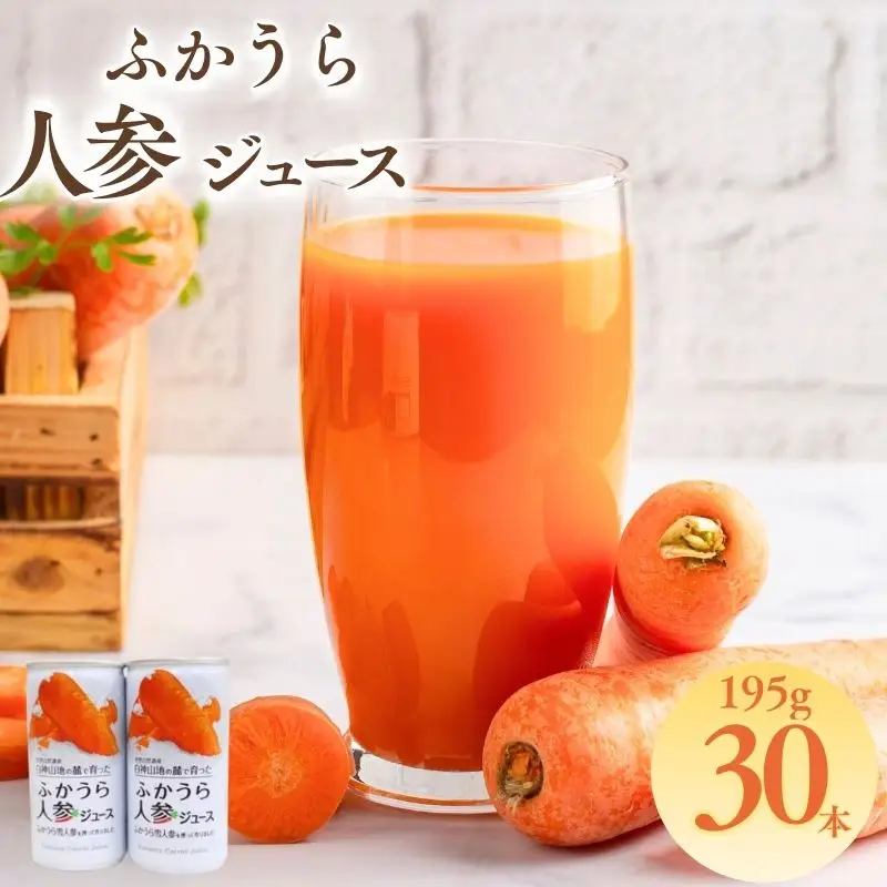 ふかうら人参ジュース 195g 30本 [fu-0009-001]