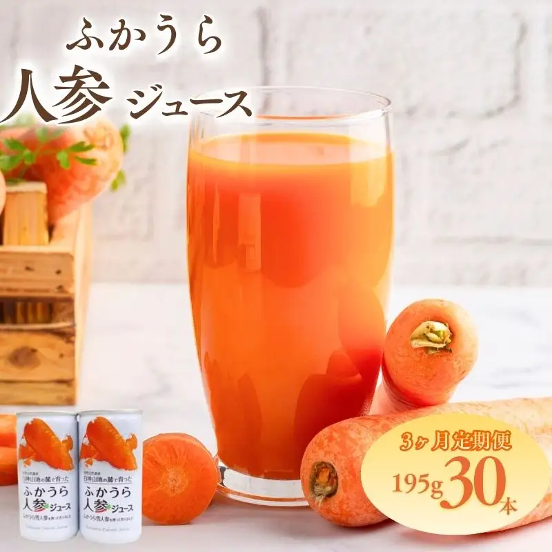 3カ月定期便 ふかうら 人参 ジュース 195g 30本  [fu-0009-003]