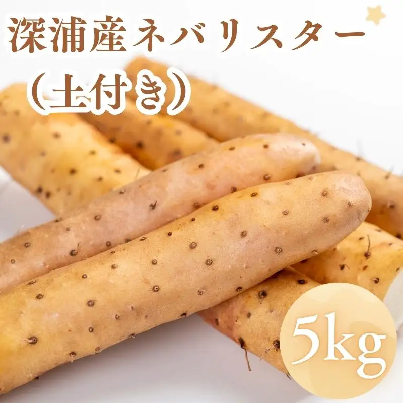 お届け：2026年12月中旬～2027年2月下旬　深浦町産 ネバリスター 約5kg 土つき 長芋[fu-0022-001]