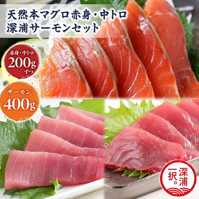 青森サーモン＆天然 本マグロ 赤身 中トロ セット 計800g 国産 青森 サーモン 本鮪[fu-0012-007]