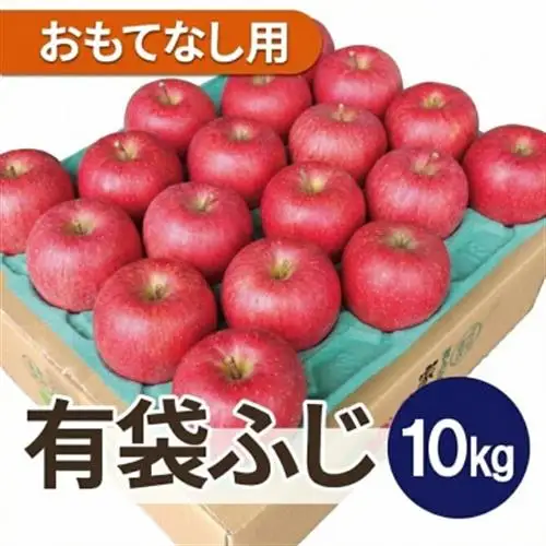 【先行受付】青森県産りんご 平均糖度13度以上! 有袋ふじ 約10kg おもてなし用【配送不可地域：離島・沖縄県】【1707170】