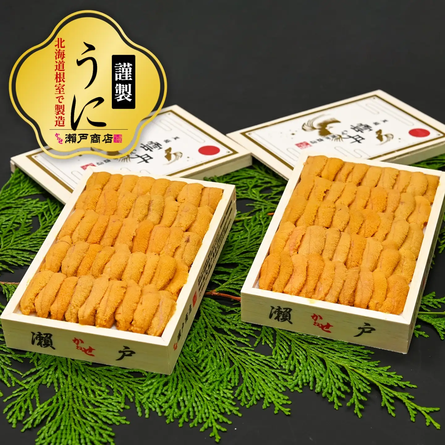エゾバフンウニ(黄系)100～110g×2折 F-29002