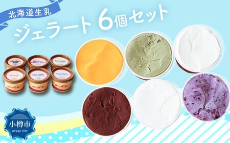 ジェラート 100ml×6個セット 全6種 北海道産生乳使用 北海道 石狩市 牧場 搾りたて 生乳 ジェラート ソルベ セット ギフト