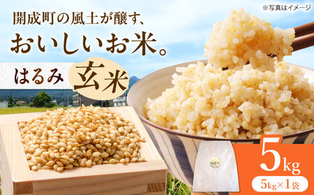 玄米 令和7年産 はるみ 5kg 玄米 [BDBF003-1]