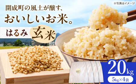 【令和7年産】 はるみ 玄米20kg 【Junkan農園】 米 お米 精米 玄米 はるみ 令和7年産[BDBF003-3]