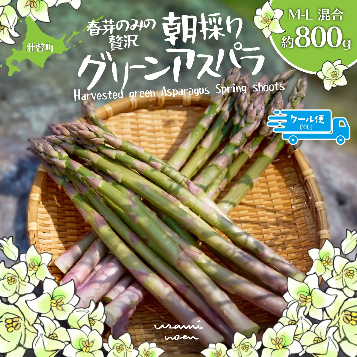 【先行予約】【2027年4月中旬頃より発送】朝採りグリーンアスパラ（春芽）M-L混合 約1kg 北海道壮瞥町産 SBTAJ032