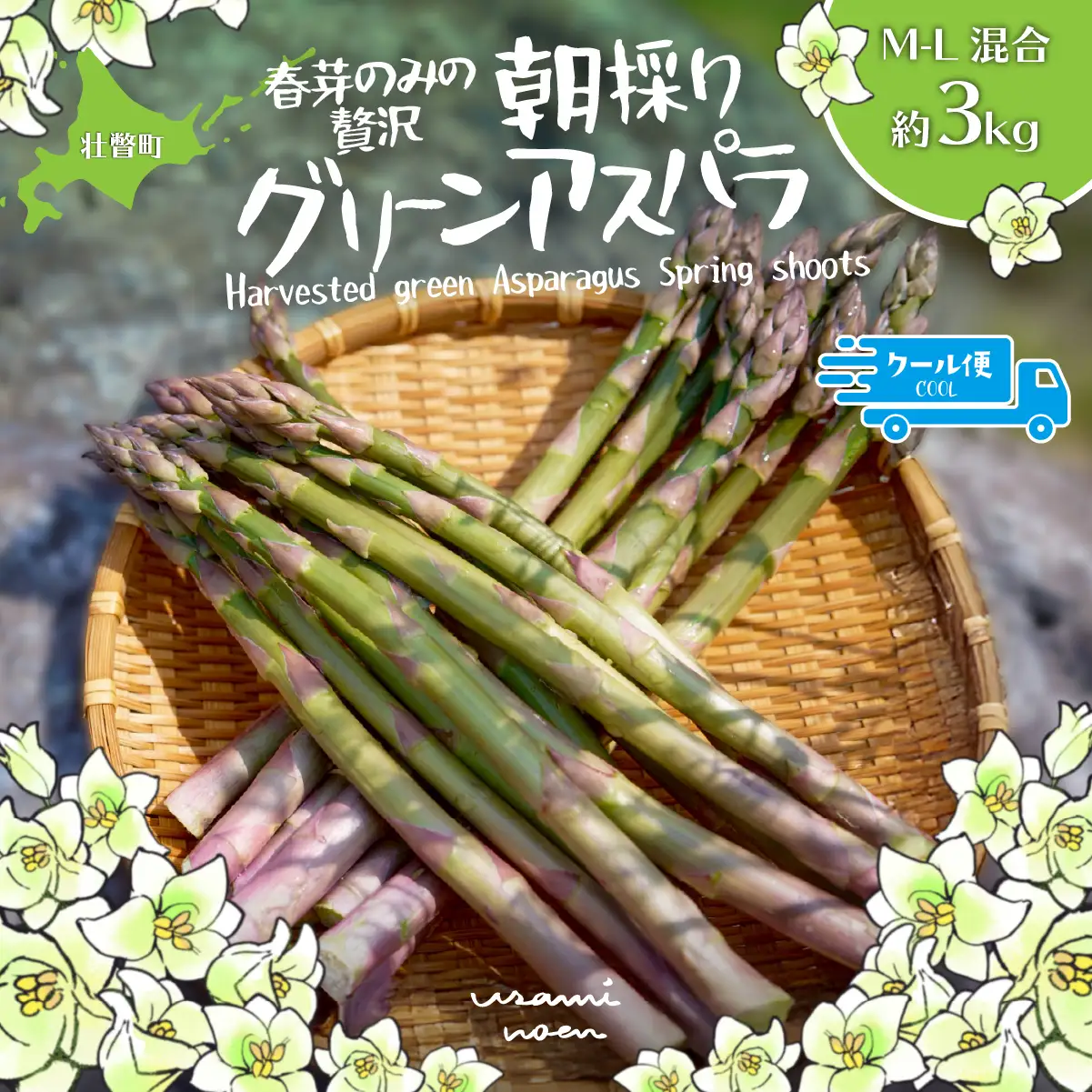 【先行予約】【2027年4月中旬頃より発送】朝採りグリーンアスパラ（春芽）M-L混合 約3kg 北海道壮瞥町産 SBTAJ035