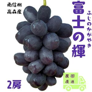 【南信州高森産】希少ぶどう 富士の輝　2房