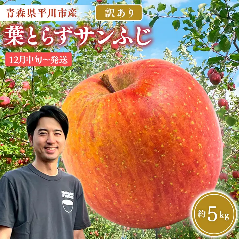 りんご  家庭用 葉取らずサンふじ 約5kg 青森県平川市産　[hi-0036-013]