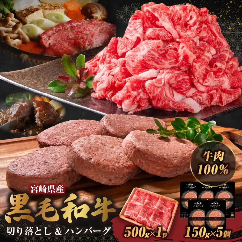 宮崎牛入有田ハンバーグ150g×5個と万能切落し500g |宮崎牛 和牛 黒毛和牛 国産牛 牛肉 ハンバーグ 牛100％ ハンバーグステーキ 切り落とし 切落し 万能切落し 霜降り 赤身 混在 有田牧畜 エモ―牛 ハンバーグセット セット商品 詰め合わせ 家族向け 家庭用 夕食 冷凍 小分け 500g 150g 食べ比べ 人気 TV紹介 ふるさと納税 返礼品 宮崎県 高千穂町|_Tk055-002