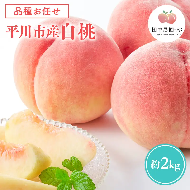 ≪8月～9月発送予定≫  品種お任せ 平川市産 白桃 約2kg (5-6玉）[hi-0039-009]