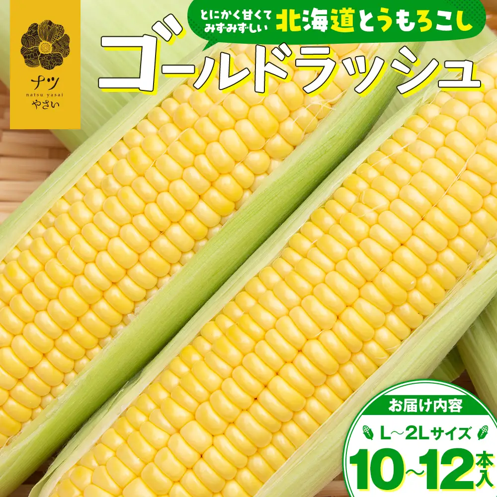 【先行受付】R8年産 トウモロコシ（ゴールドラッシュ） 10本から12本 ピンクの八百屋 ナツやさい | とうもろこし トウモロコシ ゴールドラッシュ 旬 新鮮 野菜 夏 甘い 産地直送 北海道 津別町 送料無料 