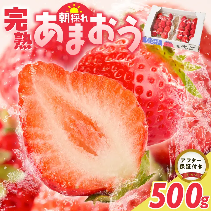 【2027年1月より順次発送】増永農園　福岡県産あまおう　250g×2パック_ あまおう いちご 〔Fi080-02〕