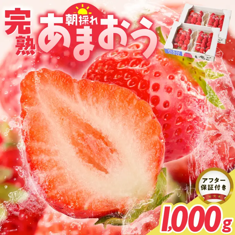 【2027年1月より順次発送】増永農園　福岡県産あまおう　250g×4パック _ あまおう いちご 〔Fi080-04〕