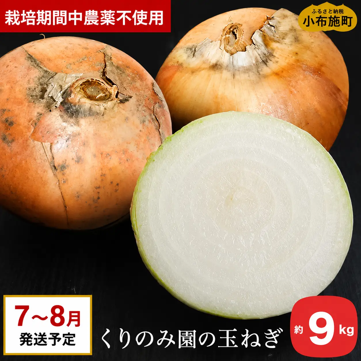 栽培期間中農薬・化学肥料不使用 くりのみ園の玉ねぎ 約9kg ［くりのみ園］2026年7月～8月頃発送 ［A-89］