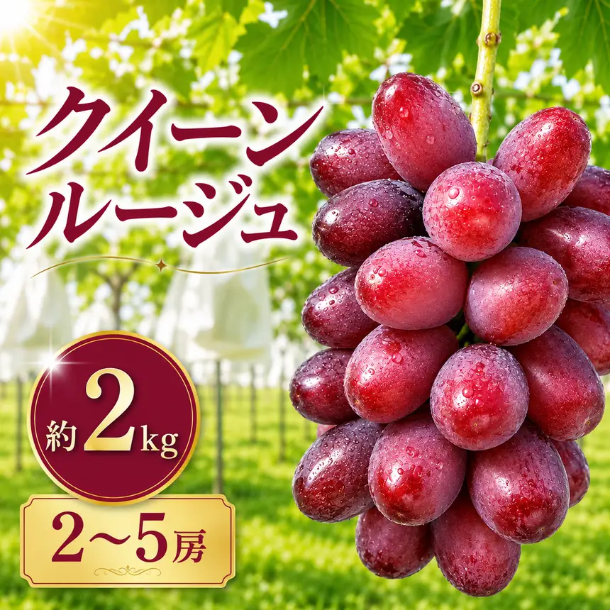先行受付 クイーンルージュ® 約2kg 2～5房 【2026年9月上旬～11月上旬発送】［K-36］