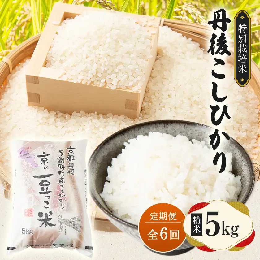 【毎月定期便】京都府与謝野町産 丹後コシヒカリ 精米5kg　特別栽培米 京の豆っこ米全6回【4083192】