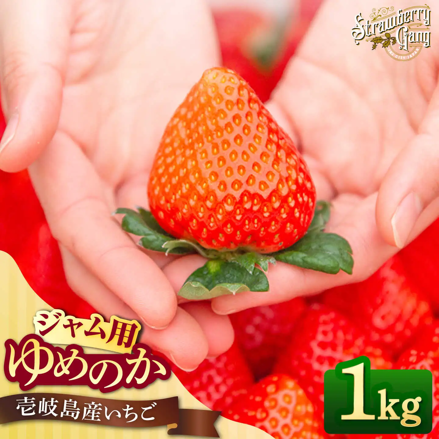 【先行予約】【ジャム用】ゆめのか 1kg 【2027年1月以降順次発送】[JEM007] いちご 苺