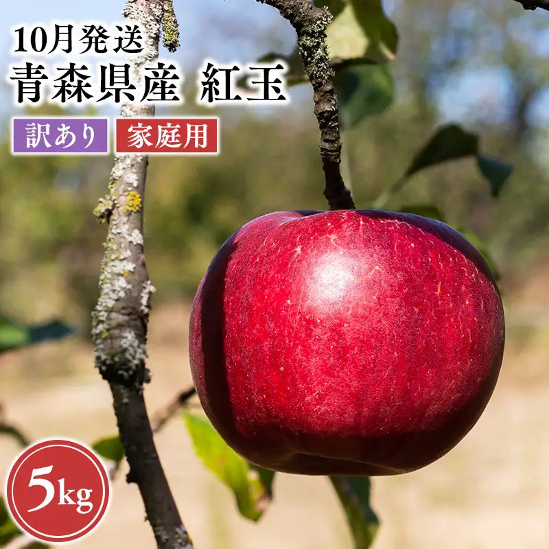 りんご 家庭用 紅玉 約5kg【hi-0068-004】
