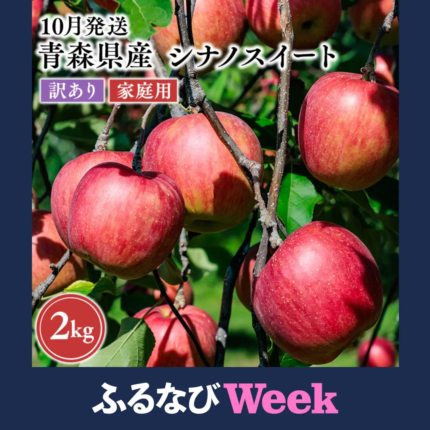 【ふるなびWEEK対象】 りんご 家庭用 シナノスイート 約2kg［hi-0068-005］ 