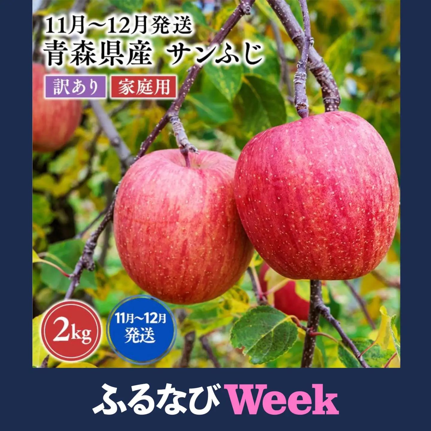 【ふるなびWEEK対象】りんご　訳あり サンふじ 約2kg 青森県平川市産 FN-Limited-SP