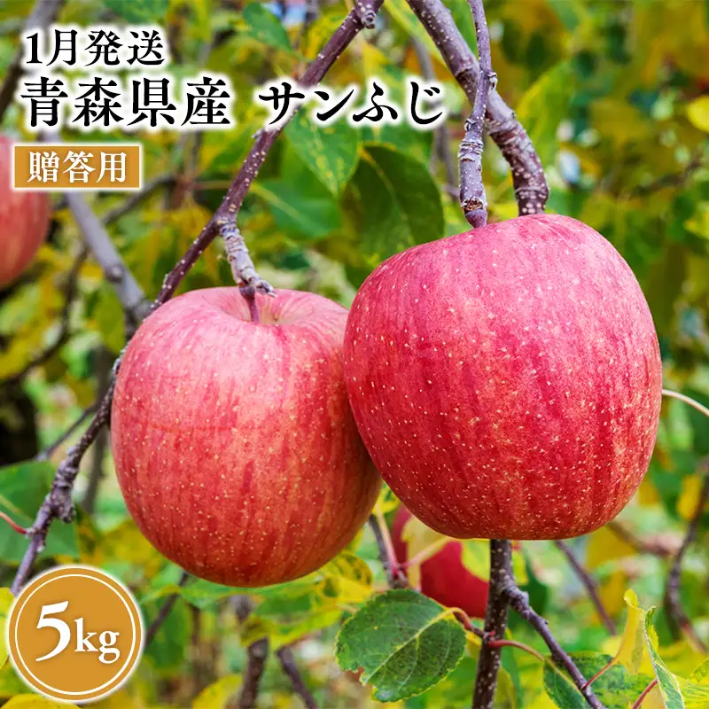 りんご 贈答用 サンふじ 約5kg【hi-0068-016】