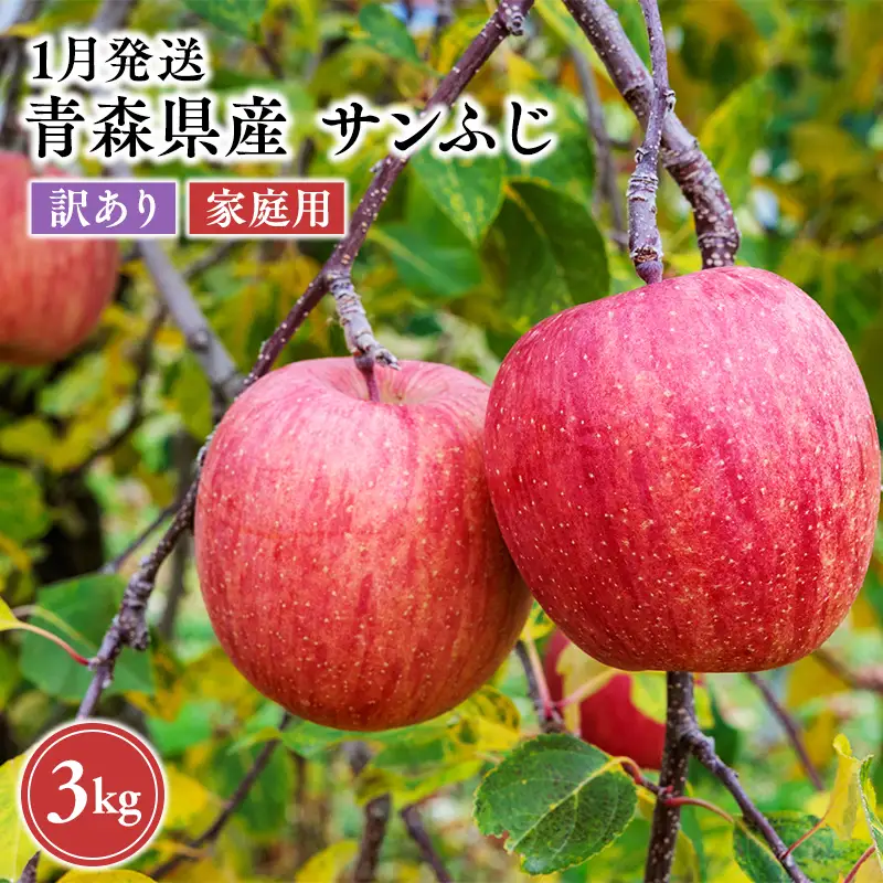 りんご 家庭用 サンふじ 約3kg【hi-0068-018】