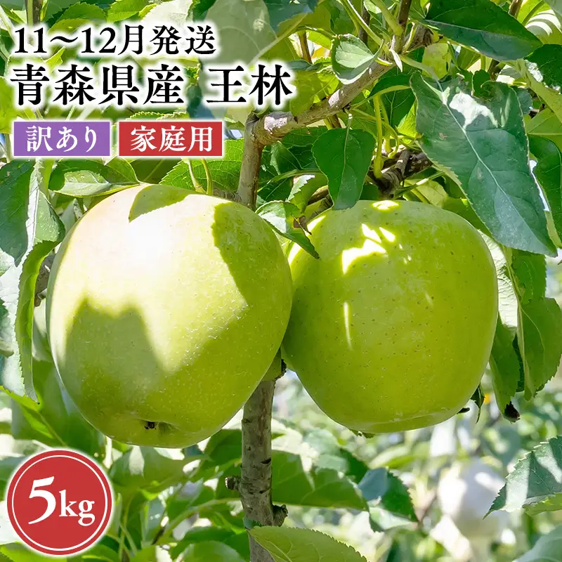 りんご 家庭用 王林 約5kg りんご