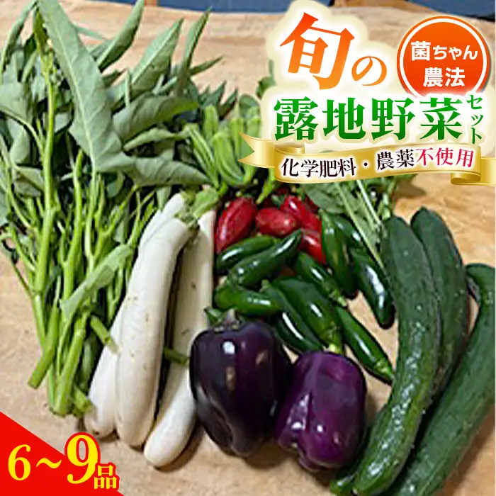 露地野菜 セット 【6～9品】 菌ちゃん農法 旬 化学肥料・農薬不使用 ／ 野菜セット 旬野菜セット 無農薬野菜 野菜詰め合わせ 農薬不使用野菜 露地野菜 国産野菜 産地直送 野菜宅配 季節野菜 料理好き 食材セット オーガニック野菜 健康野菜 新鮮野菜 愛知県 No.540
