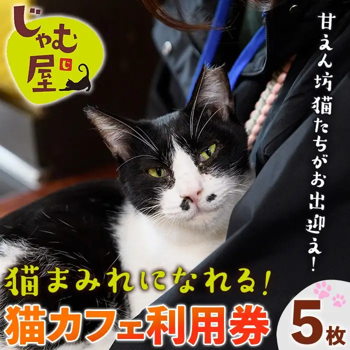猫まみれになれる猫カフェチケット(5枚) チケット 猫 カフェ 体験 ネコ ねこ 保護猫 動物 カフェ利用チケット 保護猫カフェ 利用券 利用優待券 触れ合い ふれあい 体験型 動物カフェ 癒し 写真撮影 猫好き 【じゃむ屋】as15-007