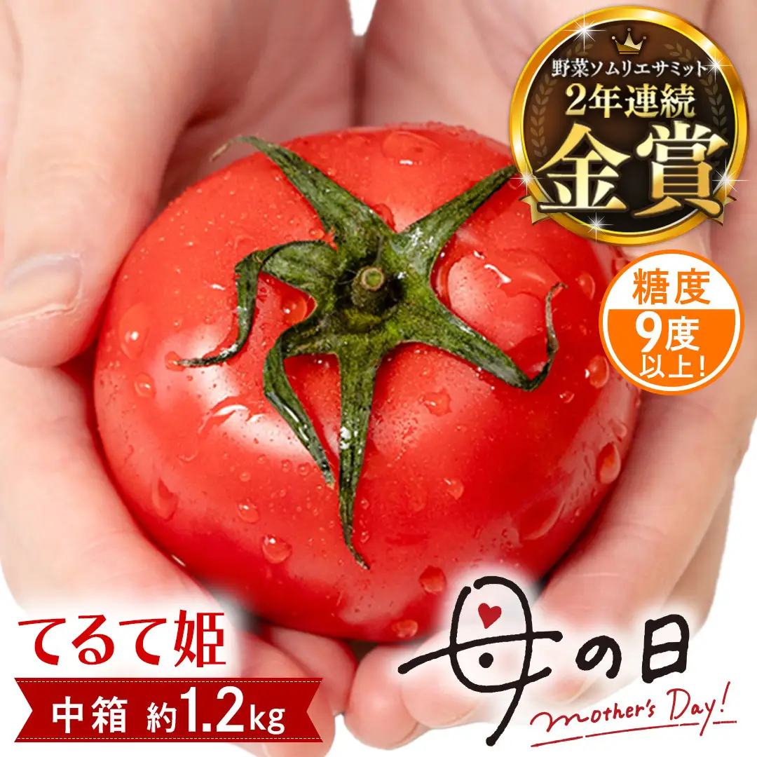 【母の日専用】 スーパーフルーツトマト てるて姫 中箱 約1.2kg ×1箱 糖度9度以上 《5月3日～9日お届け メッセージカード付》
