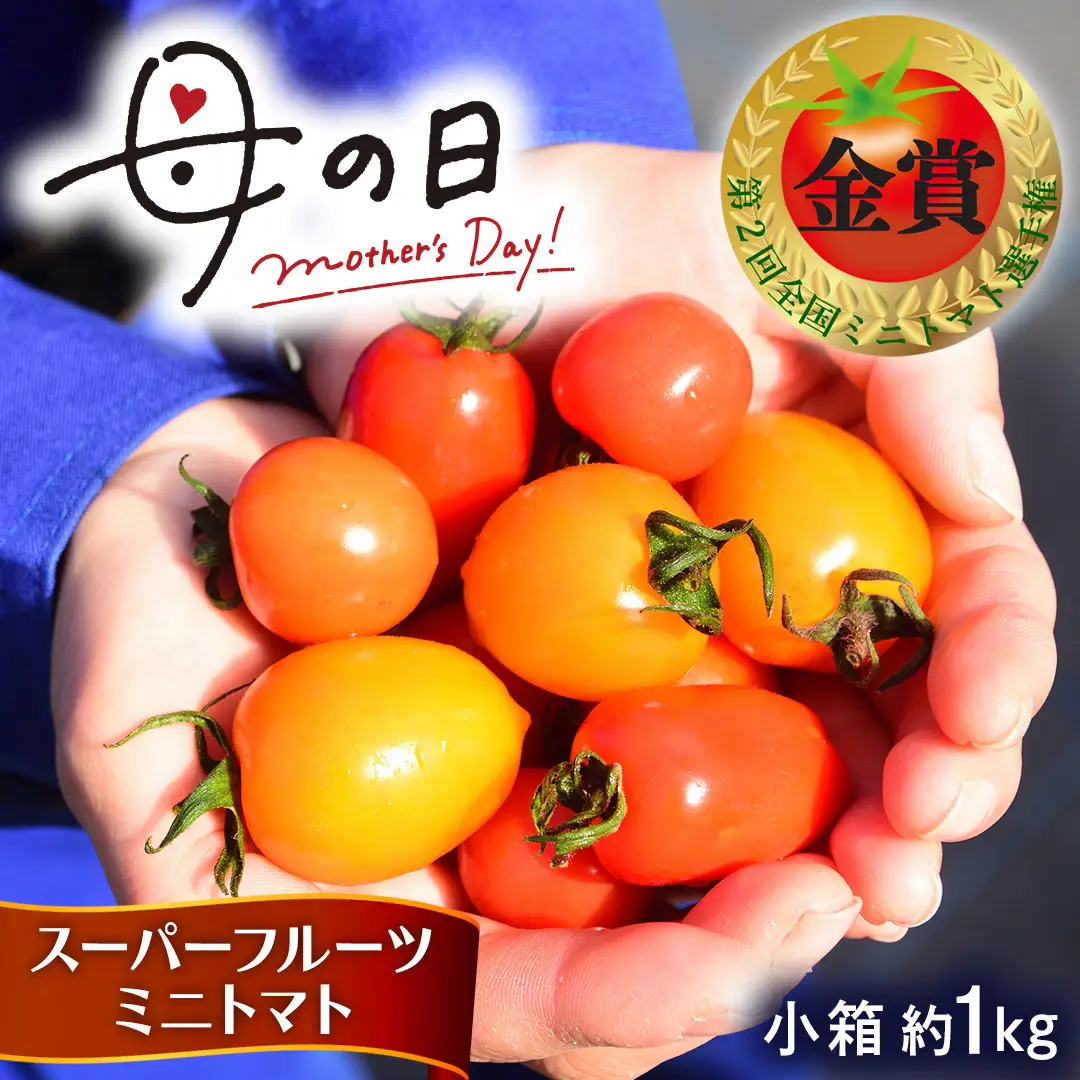 【母の日専用】 スーパーフルーツミニトマト 小箱 約1kg ×1箱 《5月3日～9日お届け メッセージカード付》
