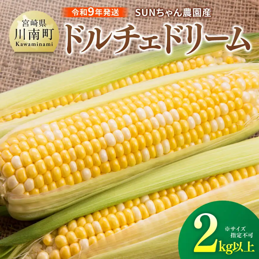 【令和9年発送】SUNちゃん農園産「ドルチェドリーム2kg以上（サイズ指定不可）」 【 とうもろこし ドルチェドリーム トウモロコシ 令和9年発送 数量限定 期間限定 】