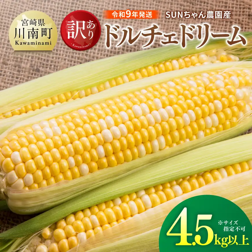 【令和9年発送】SUNちゃん農園産「【訳あり】ドルチェドリーム4.5kg以上（サイズ指定不可）」 【 とうもろこし ドルチェドリーム トウモロコシ 令和9年発送 数量限定 期間限定 】