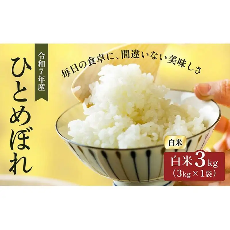 令和7年産 精米 ひとめぼれ 3kg 宮城県大河原町産 米 お米 白米 こめ コメ 令和7年 宮城県産