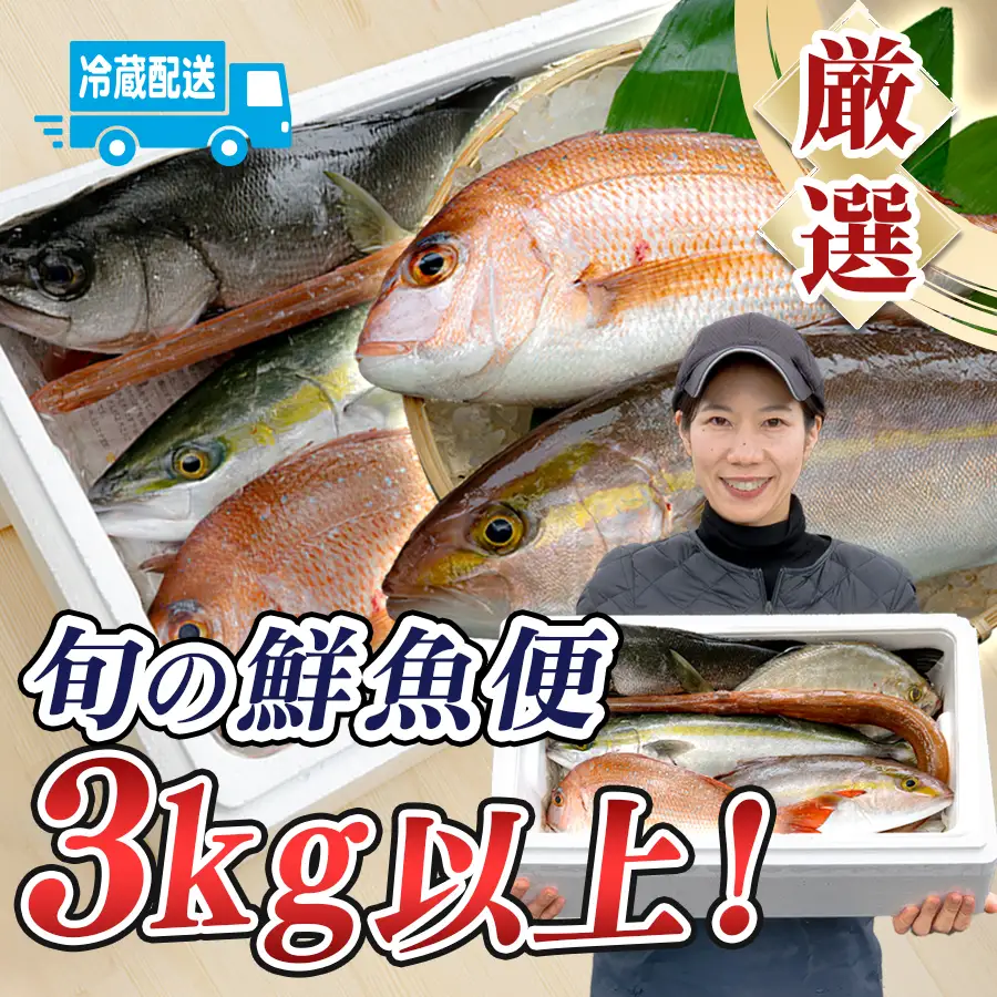 鮮魚 3kg- 鮮魚ボックス 詰め合わせ 刺身 刺し身 さしみ 鮮度抜群 産地直送 高知県産