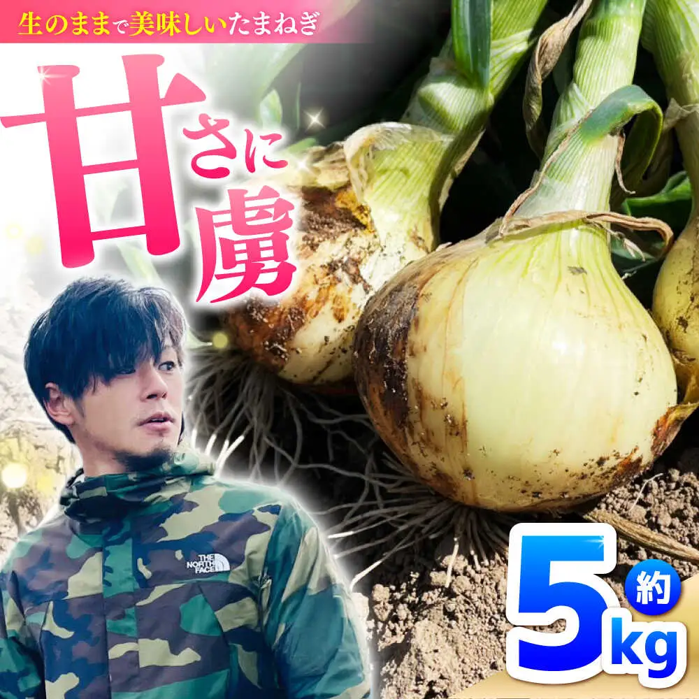 【2027年3月-発送】たまねぎ 5kg / タマネギ 玉葱 玉ねぎ 野菜 やさい カレー シチュー バーベキュー スープ サラダ / 南島原市 / 城谷農園[SGV001]