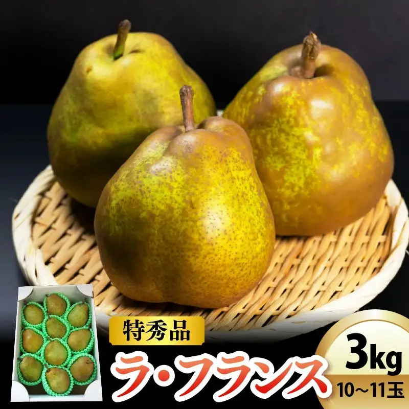 西洋梨（ラフランス） 3kg 10～11玉 特秀品 0042-2613