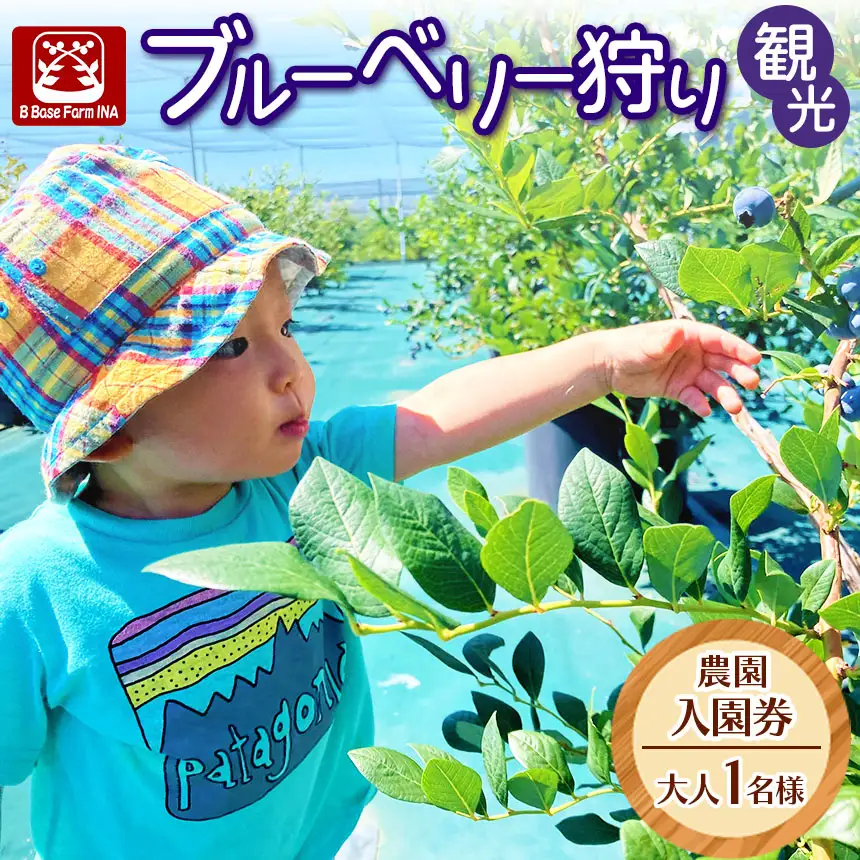 ブルーベリー狩り観光農園入園券（大人1名様）【007-93】