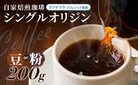 自家焙煎珈琲 シングルオリジン グァテマラ フロレンシア農園 200g コーヒー豆 コーヒー粉 コーヒー 豆 粉 珈琲 焙煎コーヒー豆 焙煎 レギュラーコーヒー グアテマラ おいしい 淡路島 洲本市 粉