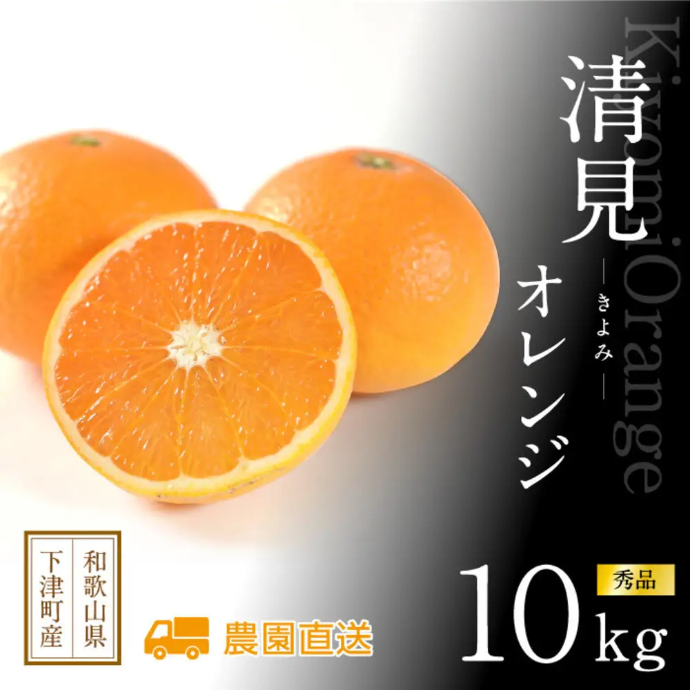 【2027年発送】和歌山の清見オレンジ 約10kg（赤秀）清見オレンジ