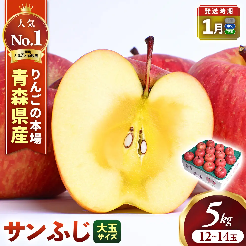 青森県産りんご 大玉 サンふじ 約5kg 1月中旬～ りんご