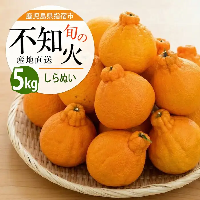 不知火 約5kg みかん フルーツ しらぬい IB064-006