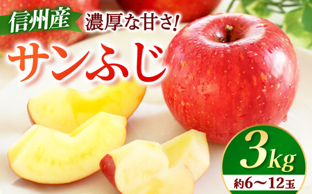 【先行予約】りんご　サンふじ　約3kg　＜2026年11月下旬～12月中旬発送予定＞　リンゴ｜長野県産｜果物｜くだもの