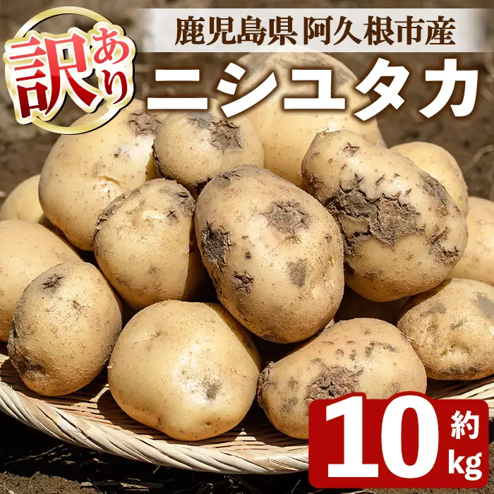 訳あり！じゃがいも ニシユタカ(10kg) 国産 鹿児島県産 阿久根市産 じゃがいも ジャガイモ 芋 ポテト にしゆたか 訳アリ 野菜 ポテトサラダ コロッケ 常温 常温配送 【慶越農園】akn107-07