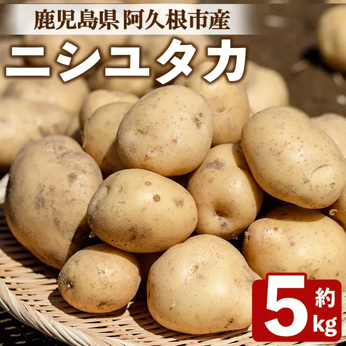 じゃがいも ニシユタカ(5kg) 国産 鹿児島県産 阿久根市産 じゃがいも ジャガイモ 芋 ポテト にしゆたか 野菜 期間限定 数量限定 ポテトサラダ コロッケ 常温 常温配送 【慶越農園】akn107-09