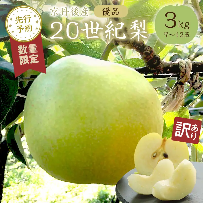 【先行予約／数量限定50】【訳あり】20世紀梨 優品 3kg（7～12玉入り）（2026年9月上旬～発送） なし 二十世紀梨 ふるさと 納税 梨 ふるさと 納税 20世紀梨